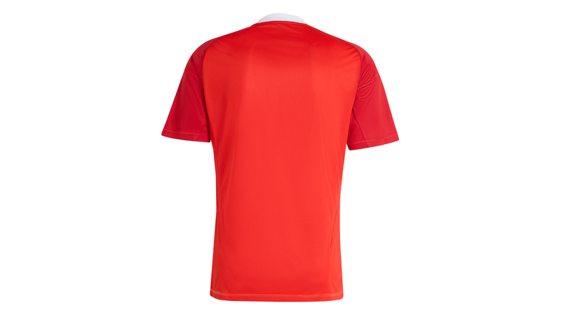 Camisa Flamengo Goleiro 25/26 - Vermelha