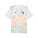 Camisa Costa do Marfim Away 2026 - Branca